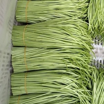 大量现货