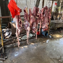 山东驴肉