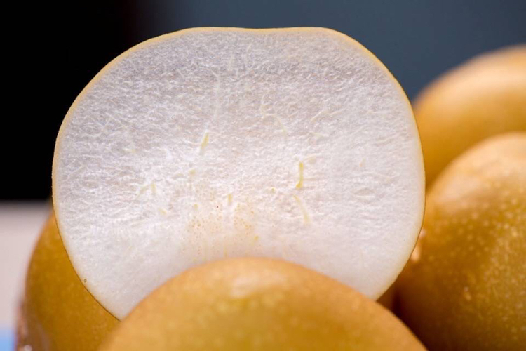 秋月梨切面特写