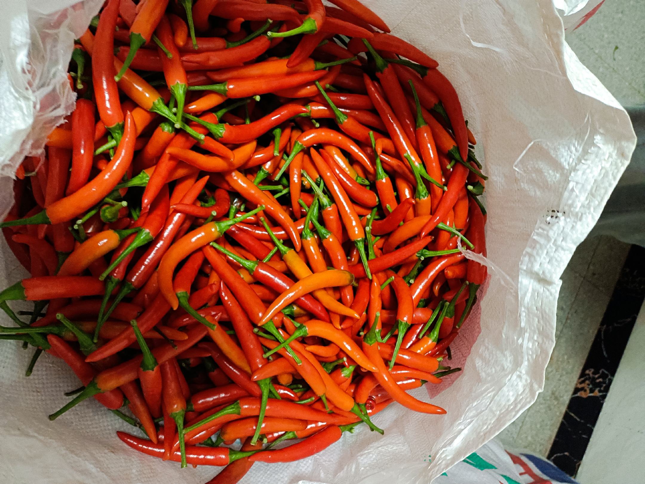实用营养搭配图示:突出‘新鲜特辣小米椒’作为核心食材,与富锌、富硒、有机酸辅料物理并置,无加热处理,体现‘即切即用’的活性营养保留原则 厨房场景:不锈钢砧板上摆放新鲜小米椒与辅料:左侧为洗净切圈的鲜红小米椒,右侧为现剥核桃仁、生南瓜子、巴西坚果碎,中间小碟盛放苹果醋与初榨橄榄油