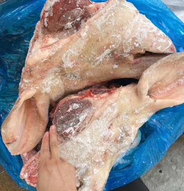 [猪头批发]母猪二级猪头免洗直接下锅!三角瘦头价格12500.