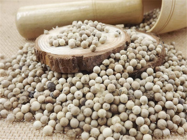 展示白胡椒的完整颗粒形态与研磨后的细粉末状态,背景为木质料理台,旁边放置研磨瓶和小勺,突出其作为调味品的日常使用场景 白胡椒原粒与粉末对比图