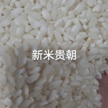 24年新米粉米专用，重金属不超标专业米粉米线米皮肠粉河粉