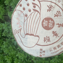 2006年班章生态茶