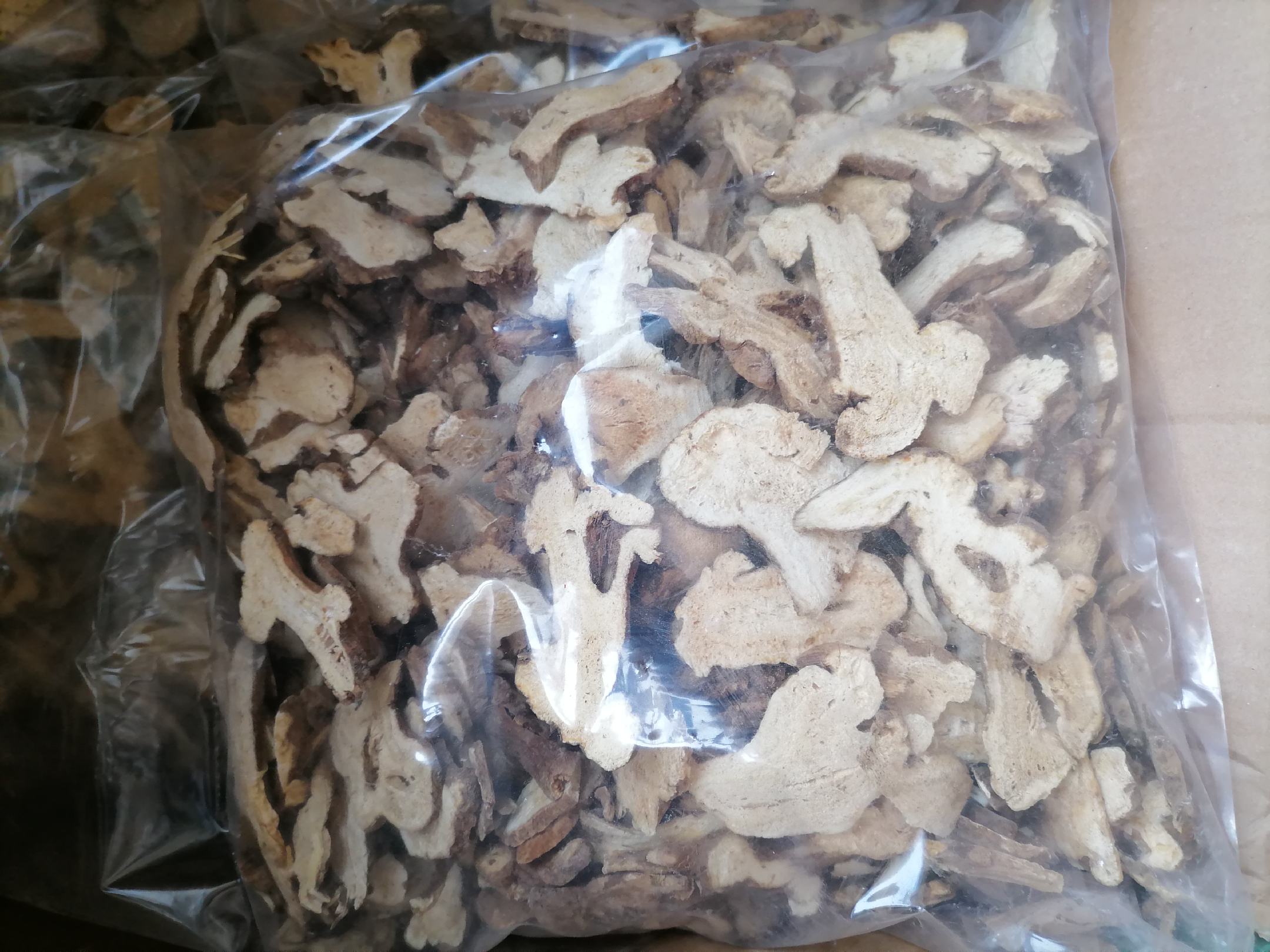 白术片药材特写：表面黄棕色，断面灰白色带菊花纹，质地坚实，麸炒后略显焦斑