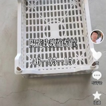 加厚加重阳光玫瑰葡萄专用筐