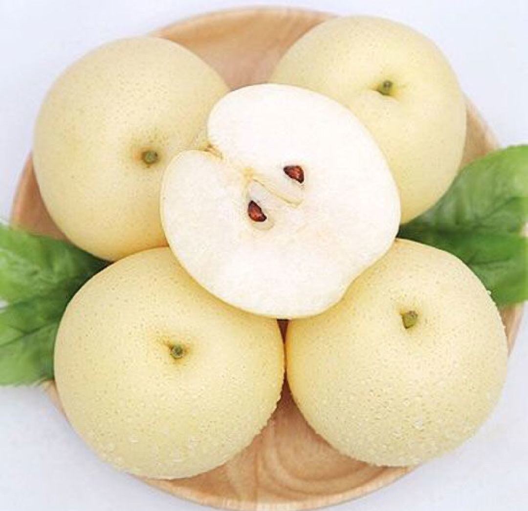 藏乌梨切面展示