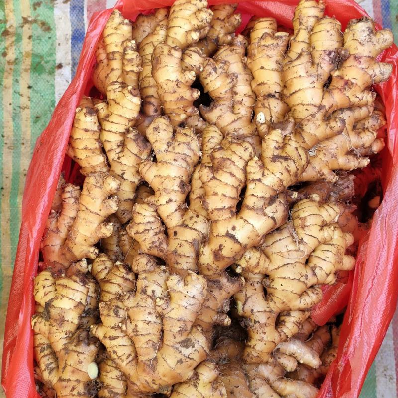 汝城生态小黄姜