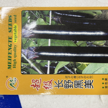 超级长野黑美墨黑长茄