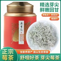 张家界莓茶