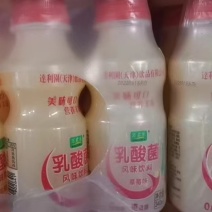 乳酸菌