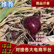 【大量上市】紫皮洋葱，一手货源，货源充足，量大从优