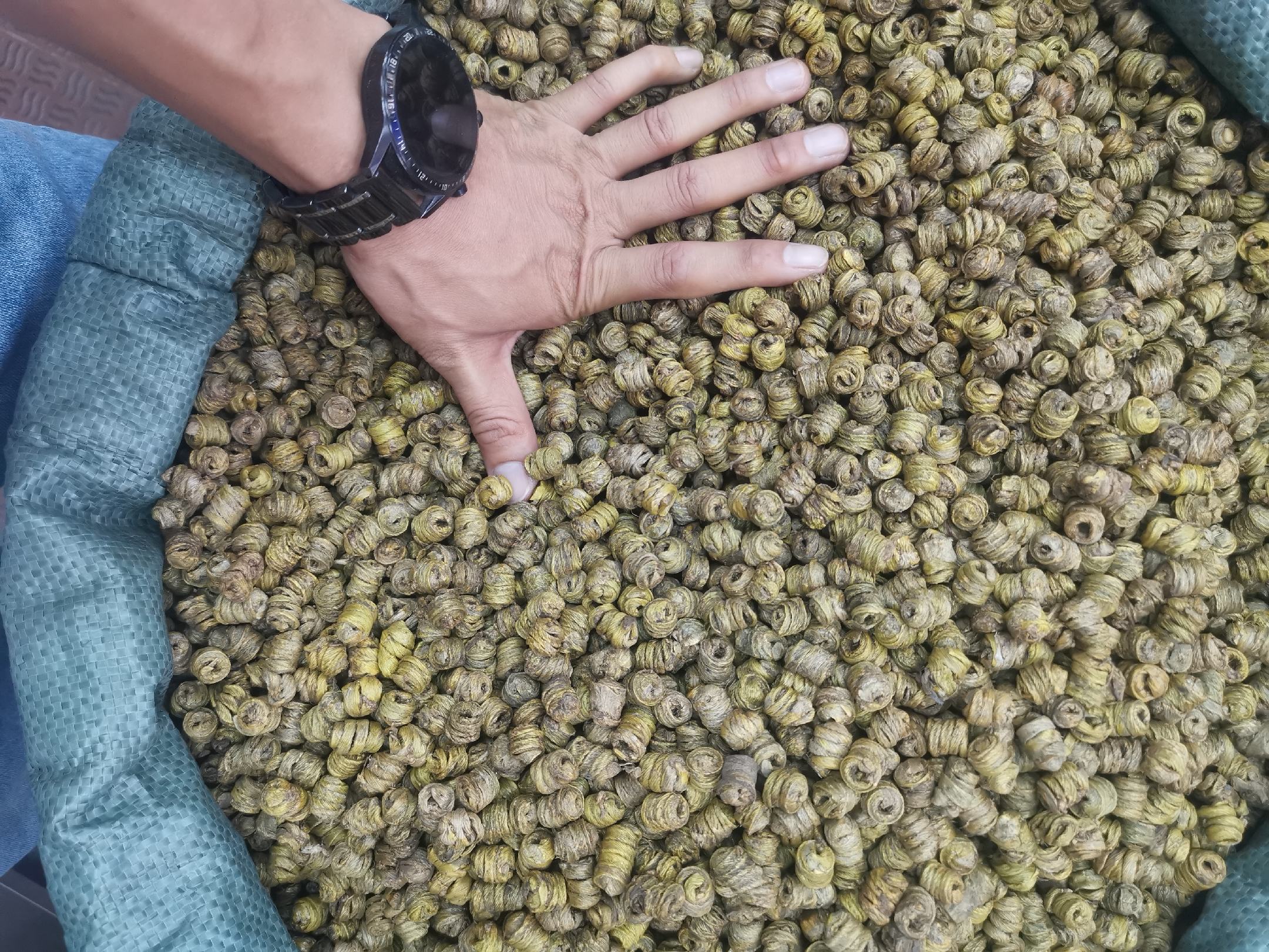 荷叶决明子山楂茶饮图