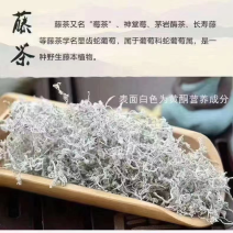 藤茶莓茶货源充足欢迎前来咨询选购