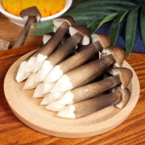 黑皮鸡枞现货云南高原鸡枞菌新鲜肥嫩山珍特产味道鲜美