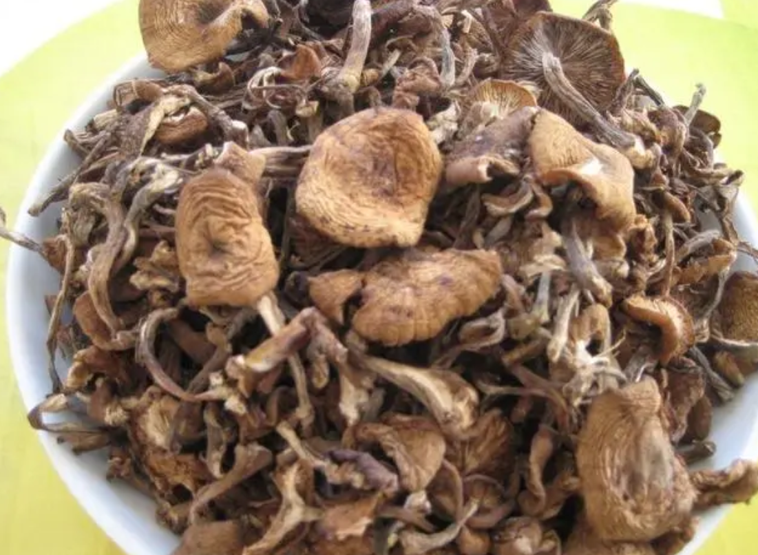 香菇煸炒过程特写