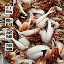 沙蟹钳冷冻鲜活梭子蟹新鲜蟹腿醉蟹钳原料连云港水产速冻蟹钳