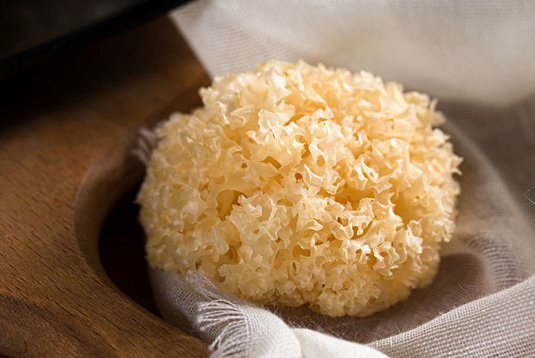 挑选优质椴木银耳特写