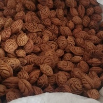 毛桃种子