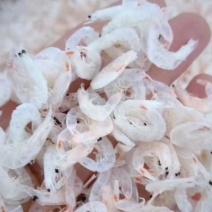虾皮厂家一手货源！手续齐全！可按要求加工食品调料虾皮！