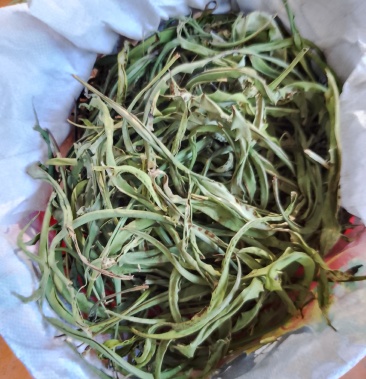 [猫须草批发]大叶化石草22.00元/斤 - 一亩田