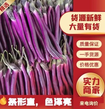 [红线茄批发]红线茄 货量充足 产地直发 颜色发亮 条形直 量大从优价格0.40元/斤 - 一亩田