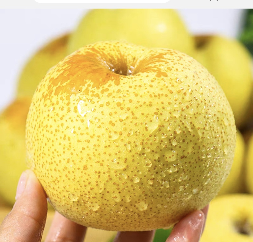 切开的老树酥梨特写