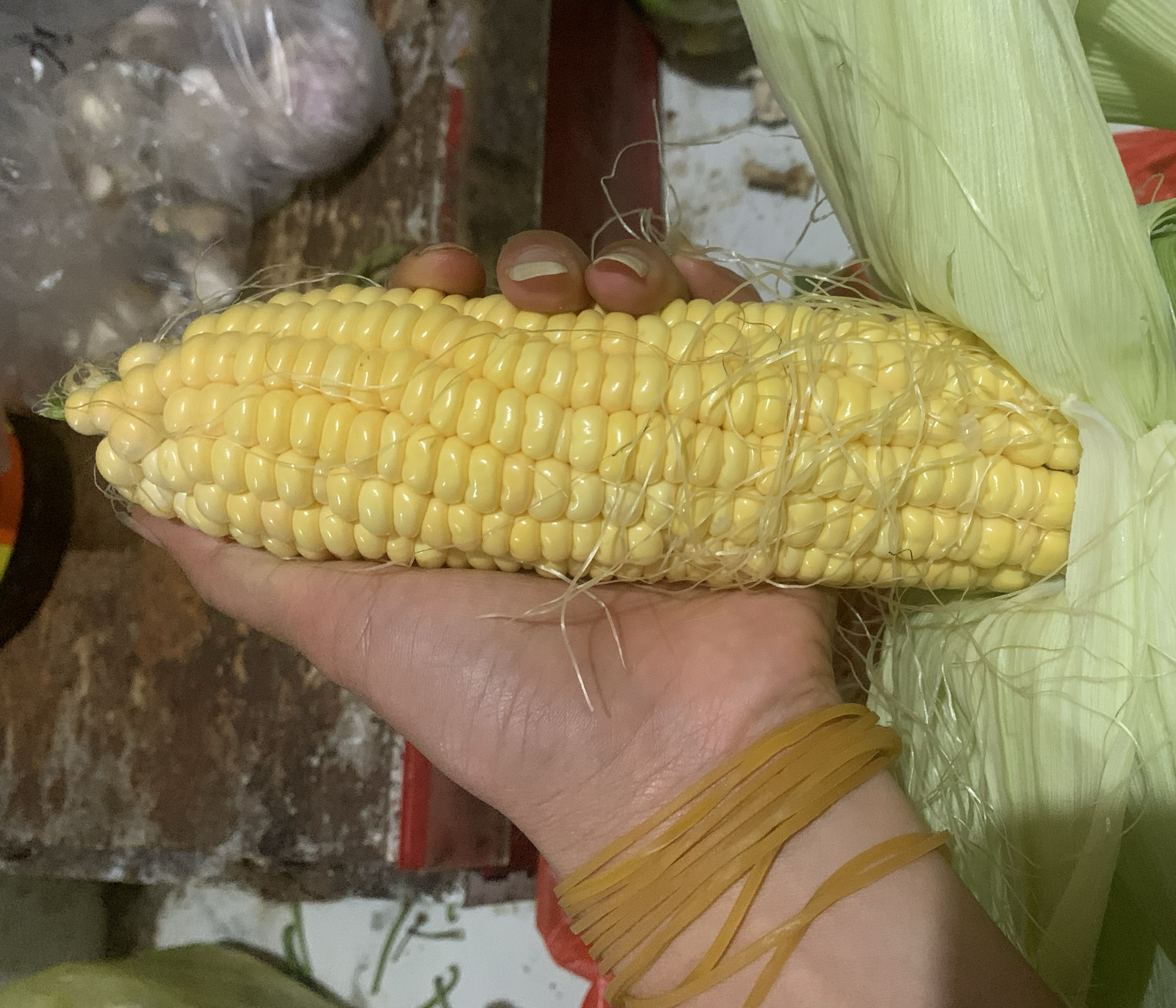 一名年轻女性正在户外剥开一根金黄色水果玉米,直接啃食,嘴角露出微笑。旁边摆放切开的玉米段,可见晶莹剔透的籽粒与饱满汁液。桌上配有pH试纸、糖度仪读数显示14.2%,强调新鲜与甜度可视化 水果玉米生食场景图