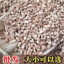 香菇脚干货香菇腿单双剪产地直发全国可发货