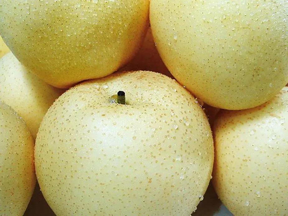 高清微距摄影:新鲜采摘的河北梨皇冠梨横向切面特写——果肉雪白细腻,几乎无石细胞颗粒感,汁液丰盈欲滴;果心极小呈五角星状,结构紧实;果皮薄而柔韧,透出浅金色光泽;背景虚化处可见散落的晶莹梨汁与一枚完整梨籽 特写:切开的河北梨皇冠梨果肉横截面