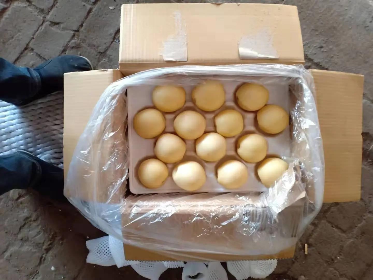 图中展示不同大小的香梨及对应的重量标签,旁边附有选购技巧的文字说明,如颜色、触感、香气等判断标准 香梨选购指南图示