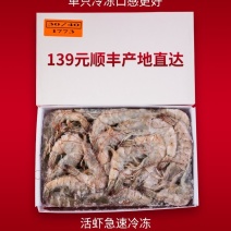新鲜海捕特大海虾王超大鲜活冷冻活虾青虾明虾基围虾鲜虾