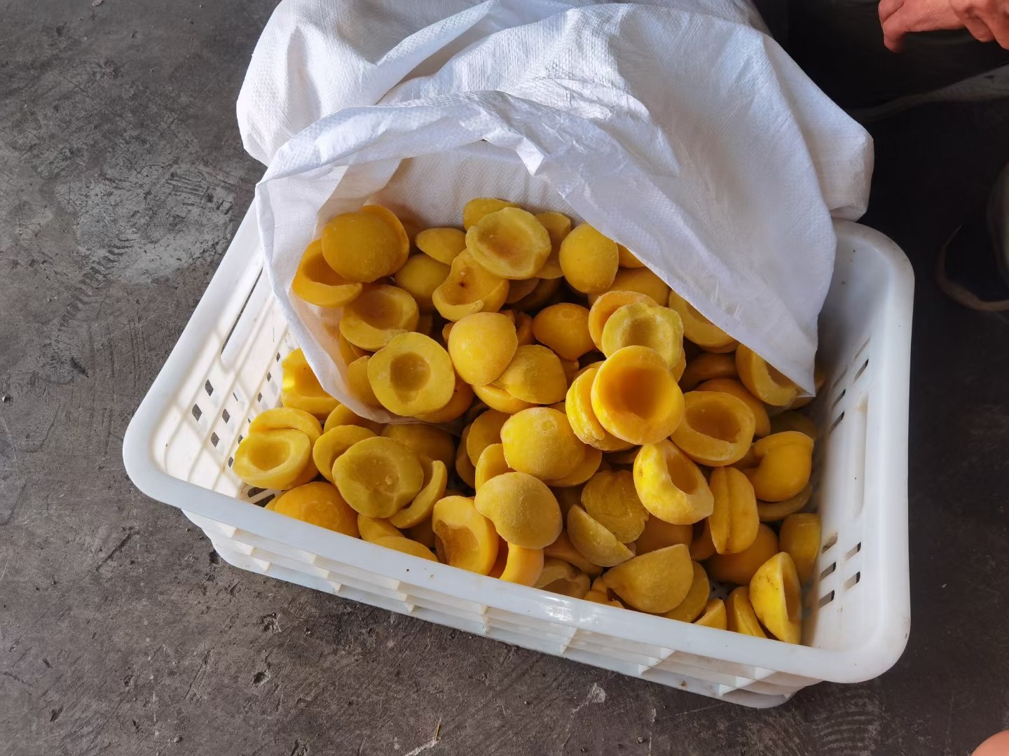 黄桃清洗与去皮过程