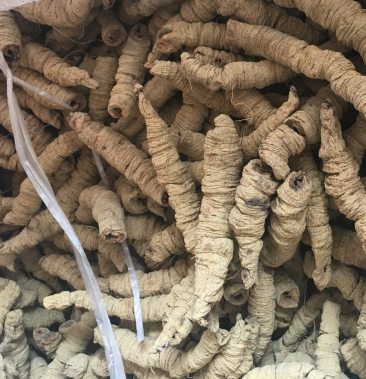 [巴戟天批发]广东省德庆县土特产巴戟天中药材生晒干货价格83.