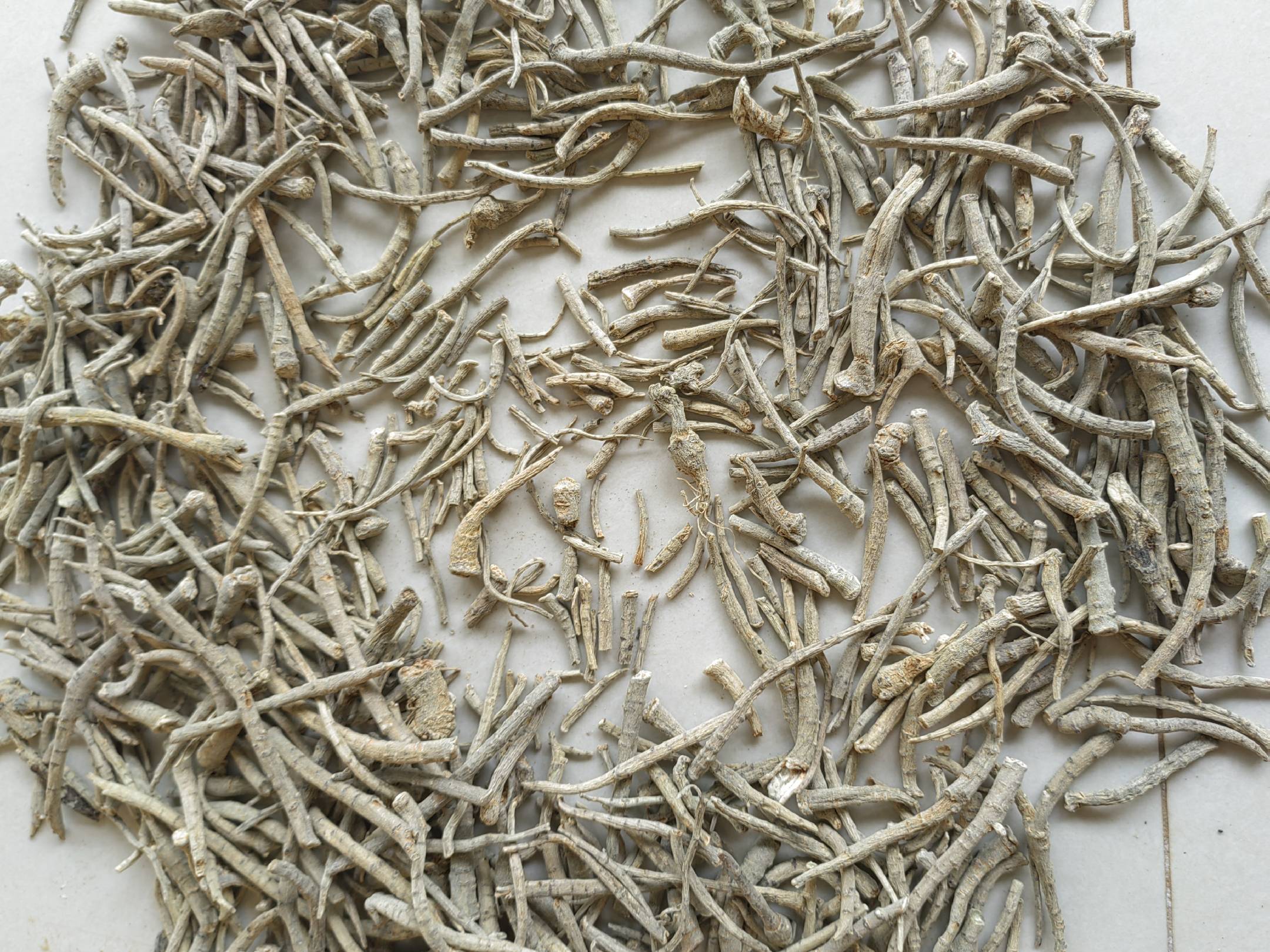 三七粉研磨过程特写