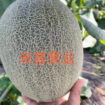 25号小蜜（热销）中，产地直销，供应：各大平台市场商超。