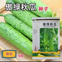 傲绿秋瓜旱黄瓜种子春秋旱黄瓜种籽四季播秋瓜耐热小黄瓜杂交