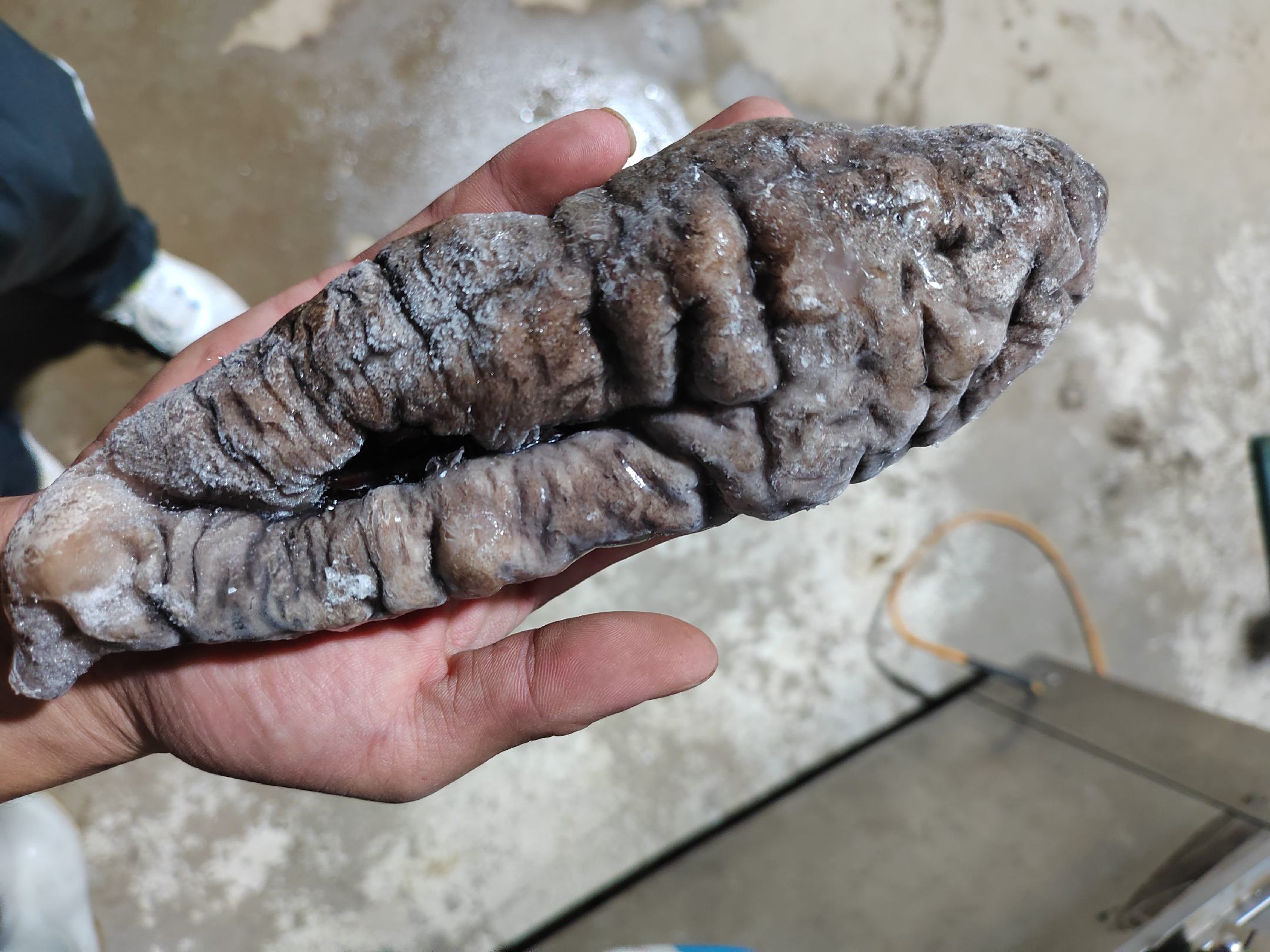 高丽参炖乌鸡的成品图,汤色清澈,高丽参与乌鸡肉质清晰可见 高丽参炖乌鸡的成品图