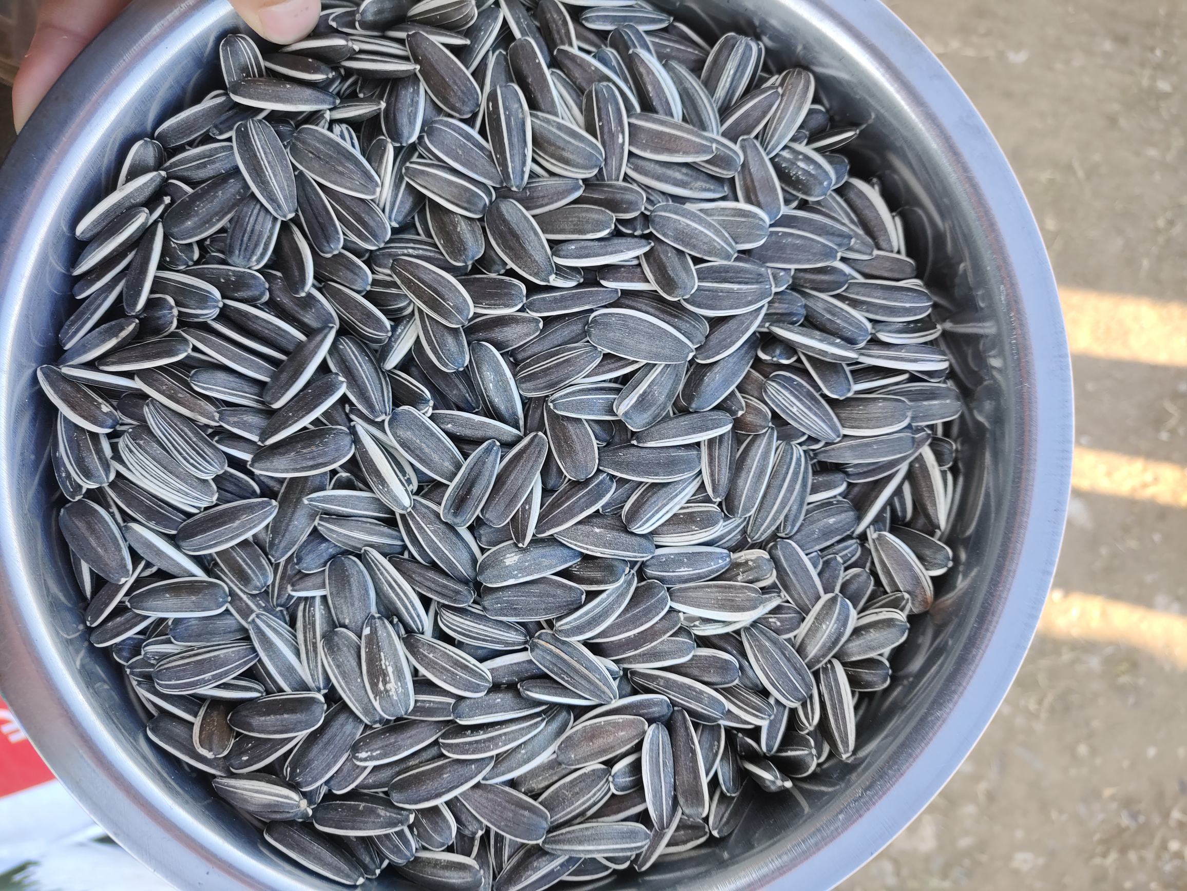 阳光玫瑰无籽与酸奶水果碗搭配