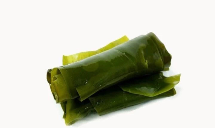 展示一片完整的海带卷产品,表面湿润有光泽,呈现出自然的深绿色 海带卷特写展示