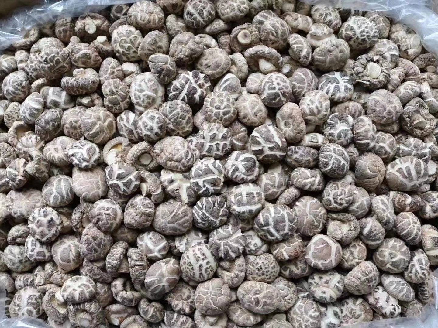 干香菇成品展示图