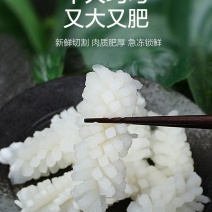 目鱼花冷冻纯干新鲜鱿鱼花墨鱼卷酒店饭店餐饮商用食材整箱