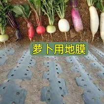 萝卜用地膜银黑双色反光双色防蚜虫