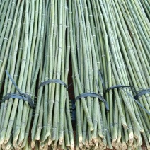 利发果蔬提供一手货源，规格齐全，量大从优