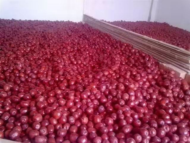 脆枣批发市场