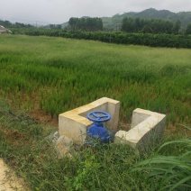 田块整齐水源到地里