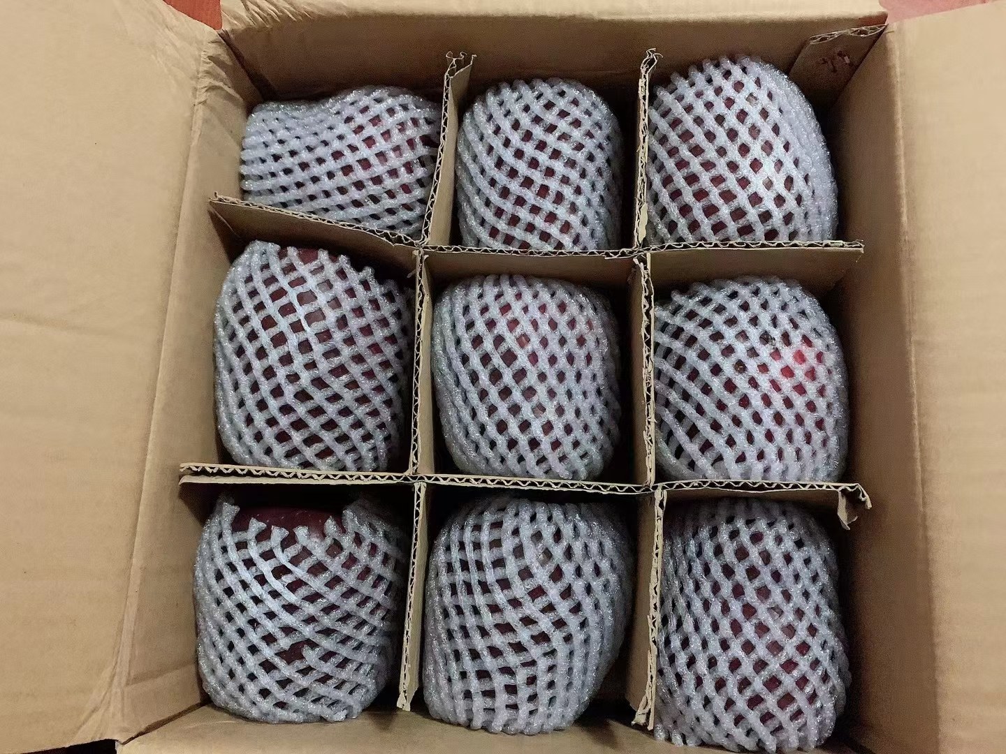 现代化包装车间内,工人正在对花牛苹果进行分级筛选和真空包装,纸箱上印有‘Hua Niu Apple’英文标识和出口国家标志,传送带连接冷藏车,准备发往港口 花牛苹果包装与出口场景