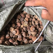 贵州刺梨干果，果铺