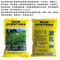 牧草种子，原厂包装黑麦草种子耐寒牧草畜牧养殖草种鸡鸭牛羊