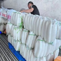 【推荐】白萝卜大量上市啦！有需要的可以联系我，产地直发
